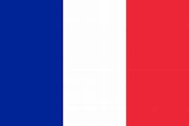 La Francia ha scelto…